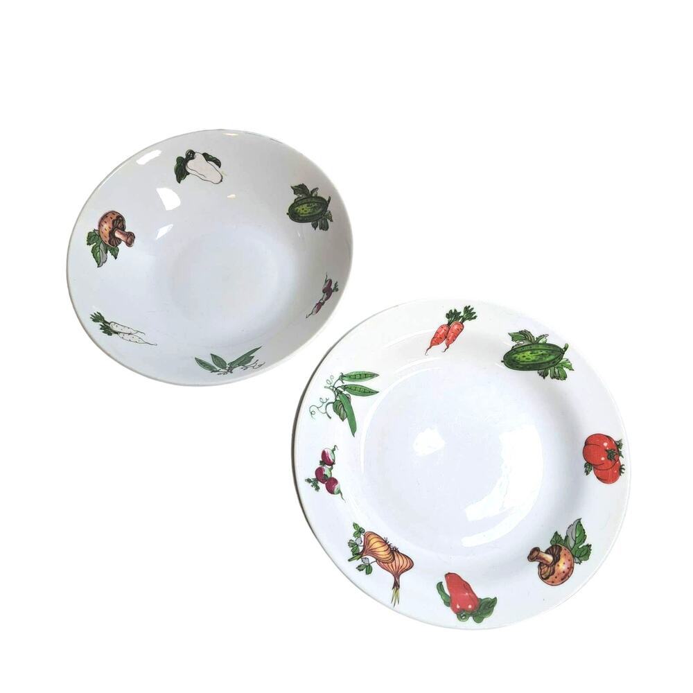 Vintage Winterling Roslau Bavaria China 2 Plates Bowl Vegetable Design Colorful